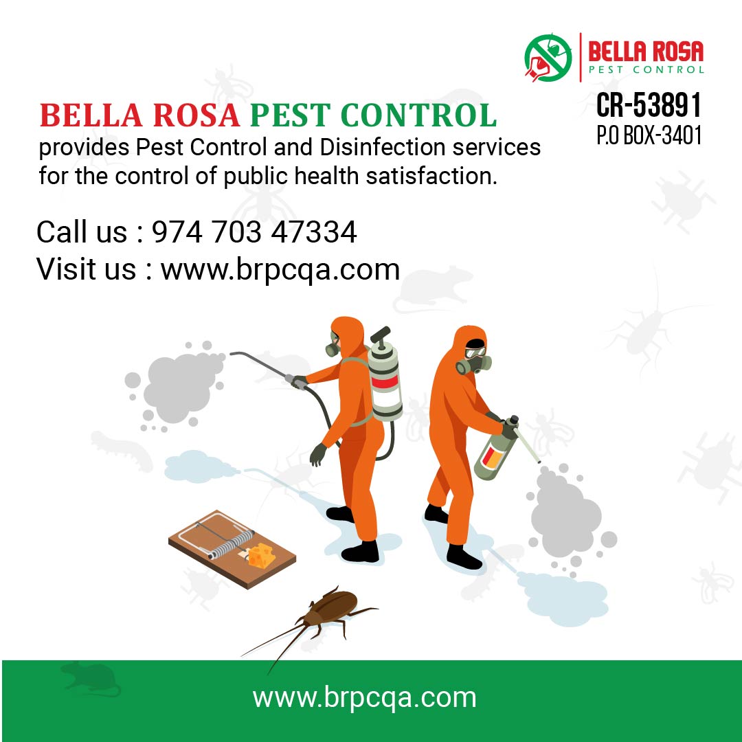 Pest control 1-01